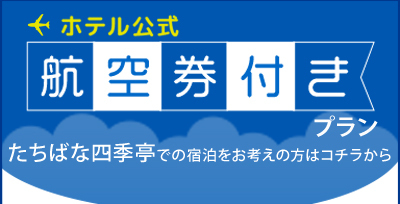 航空券付きプラン