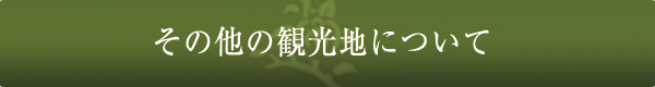 その他の観光情報について