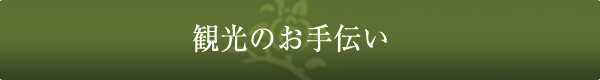 観光のお手伝い