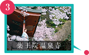 薬王院温泉寺