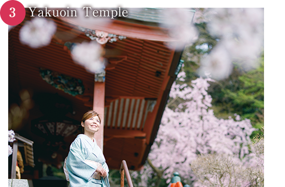 薬王院温泉寺